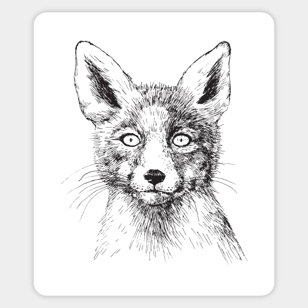 Fox portrait, ink drawing Sticker by katerinamk